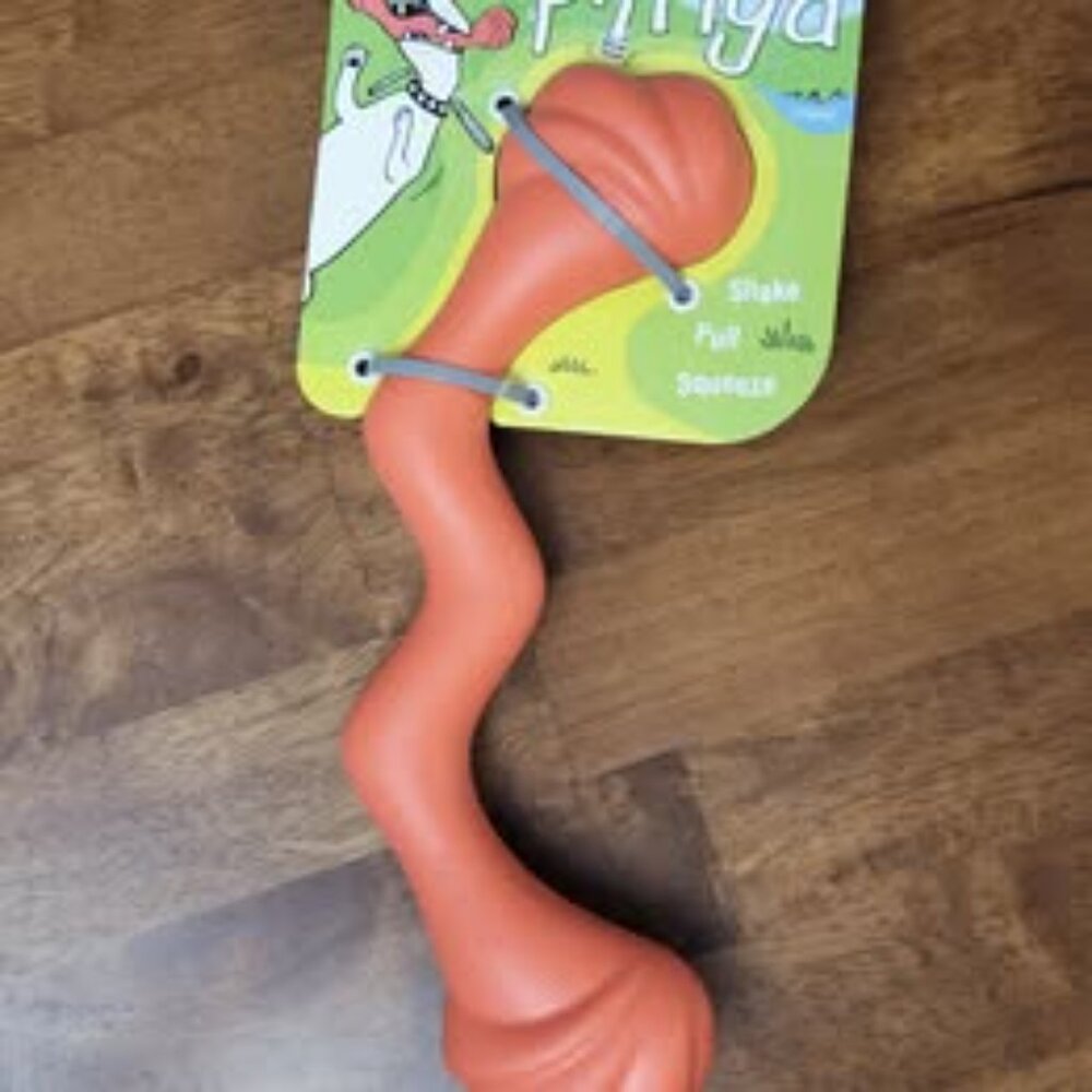 Nylabone ~ Set of 3 Dog Toys ~ NWT - Picture 5 of 7